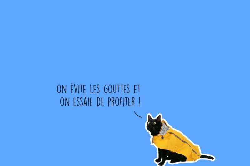 participez à un escape game unique à lyon pour pâques 2025 ! résolvez des énigmes en famille ou entre amis et partez à la chasse aux œufs dans une aventure immersive inoubliable.