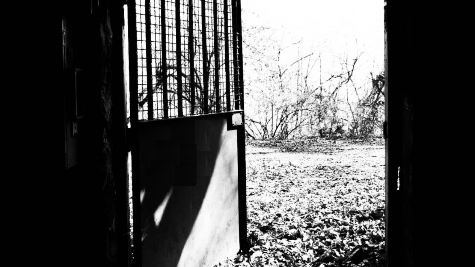 découvrez l’escape game incontournable à albertville en 2025 : énigmes immersives, aventures captivantes et défis à relever en équipe pour une expérience unique entre amis, famille ou collègues !