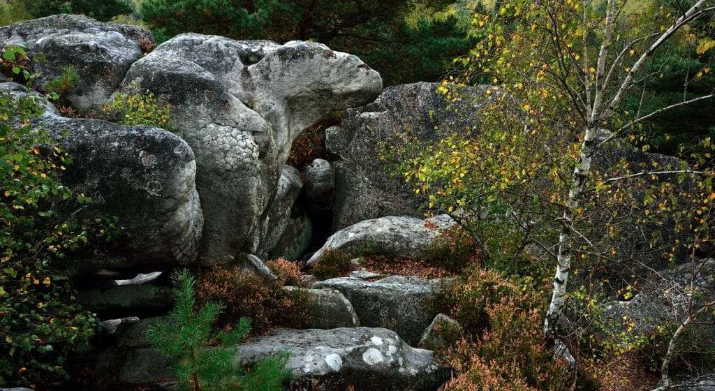 vivez une aventure unique avec notre escape game en pleine forêt de fontainebleau ! résolvez des énigmes en équipe, découvrez la nature et relevez le défi en famille ou entre amis.