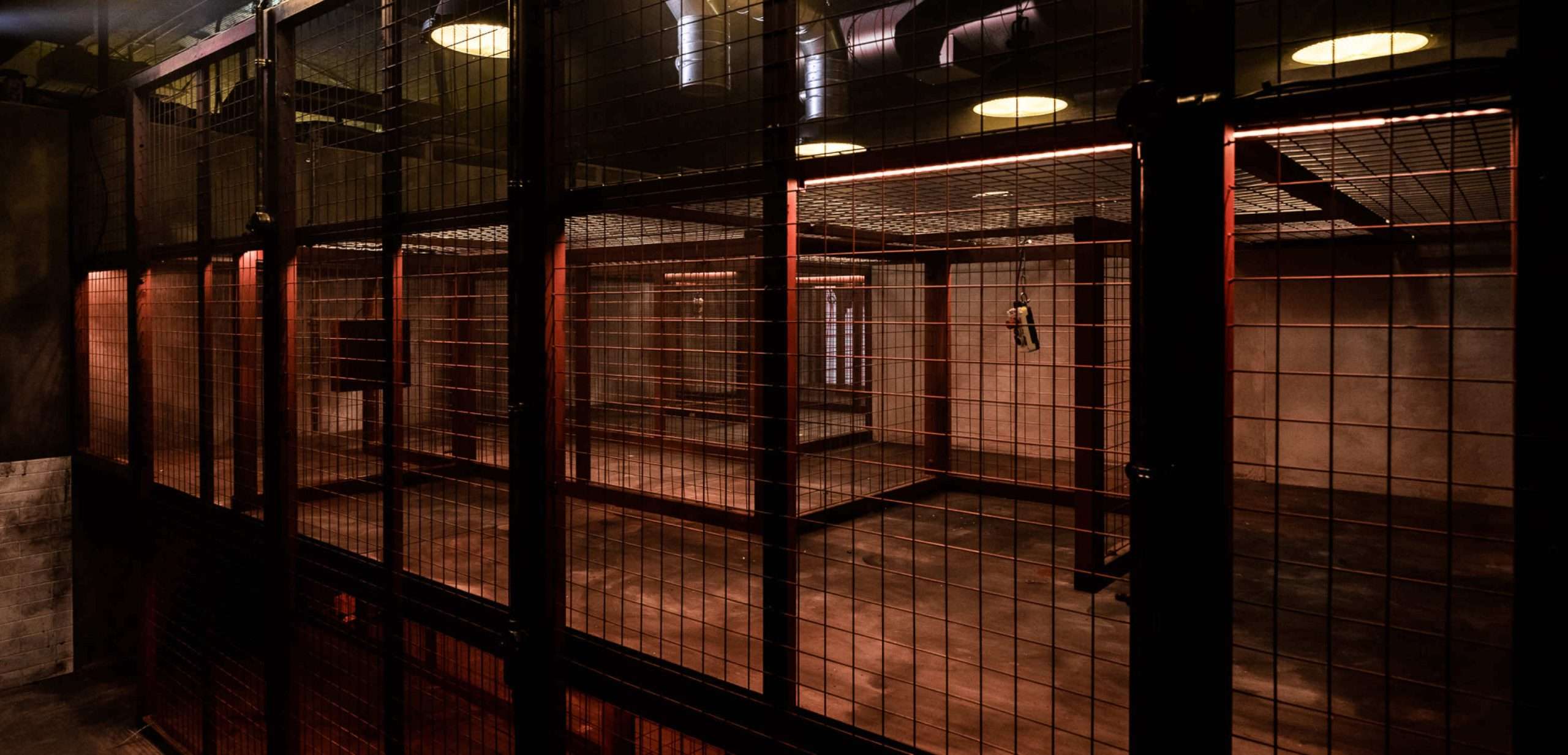 découvrez l'escape game saw à paris : plongez dans une aventure palpitante inspirée de l'univers du film, résolvez des énigmes tortueuses et échappez à la salle en équipe. réservez dès maintenant votre expérience immersive !